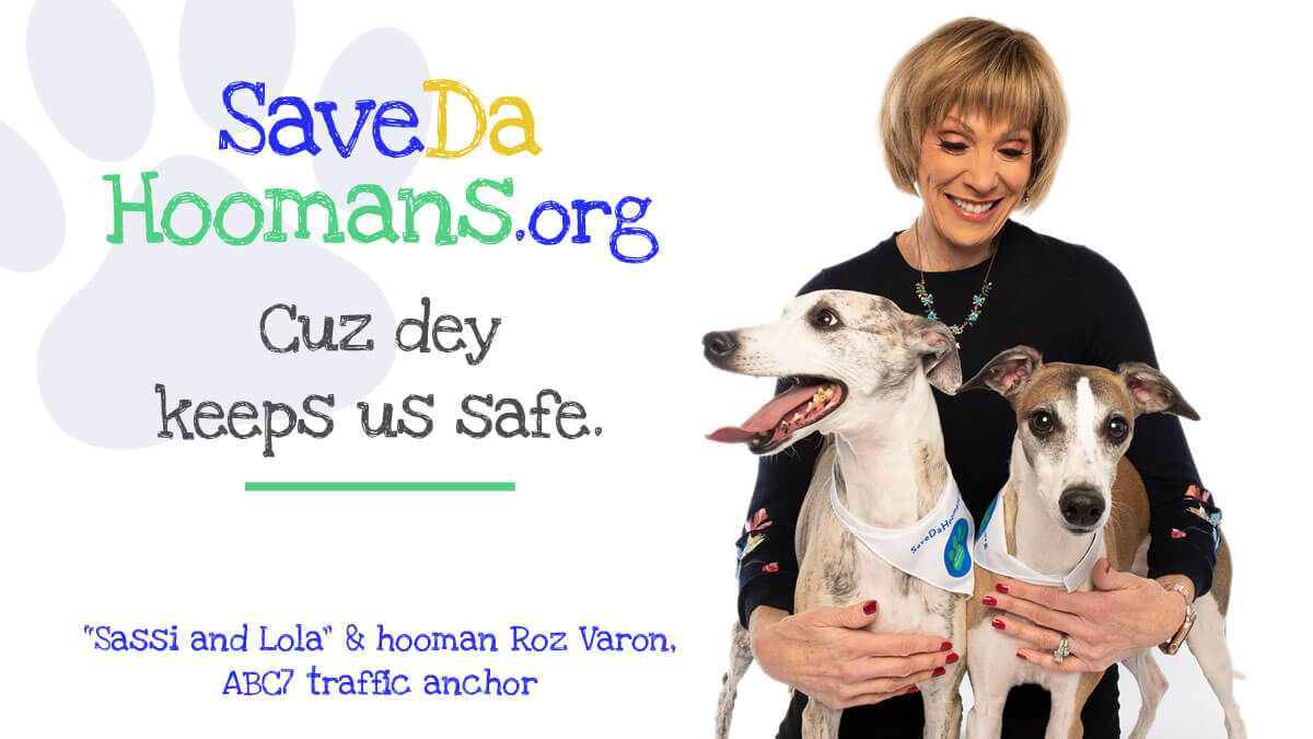 Savedahoomans-Social-Media-ads_Sassi-and-Lola-versions2_TW.jpg