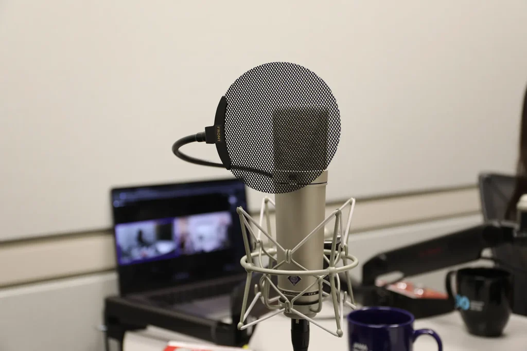 Podcast mic