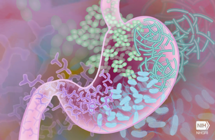 UChicago Medicine Receives $100M for Microbiome Research